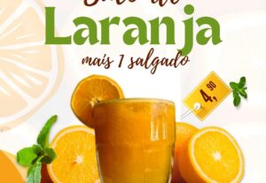 Eu vou fazer posts profissionais para sua empresa