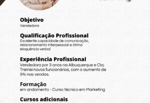 Eu vou montar seu currículo profissionalmente.