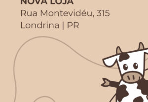 Eu vou criar designs em Canva