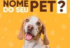 Eu vou fazer seu marketing e estratégias digitais