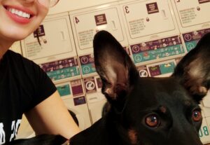 Eu vou fazer Propaganda relacionada a mundo pet