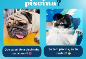 Eu vou criar os melhores posts para o seu perfil: