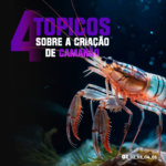 Eu vou criar sua logo do zero