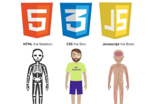 Eu vou fazer uma pagina simples em html css para sua faculda...