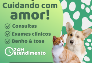 Eu vou fazer Flyers Incríveis para você vender todos os dias