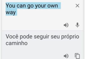 Eu vou traduzir seus textos em pt, in ou es