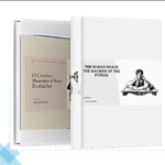 Eu vou fazer seu ebook e traduzir em inglês.