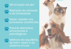 Eu vou  fazer Conteúdo para as redes sociais
