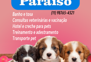 Eu vou criar uma propaganda para você em 24 horas.