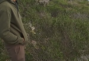 Eu vou Editar o seu vídeo