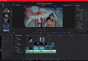 Eu vou editar seus vídeos da forma como desejar.