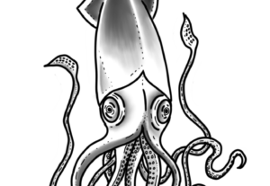 Eu vou fazer o design da sua tatuagem nova