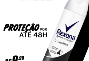 Eu vou fazer Flyer comerciais ou artísticos.
