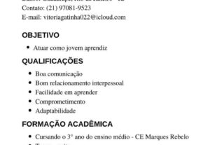 Eu vou criar ou atualizar seu currículo