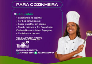 Eu vou fazer seus posts de Instagram e organizar o perfil