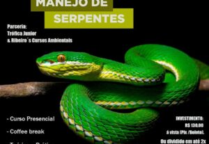 Eu vou transformar suas ideias em Arte Visual impactante.