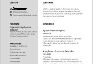 Eu vou Revisar e fazer seu currículo