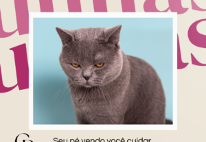 Eu vou fazer posts para instagram, vídeos para propaganda