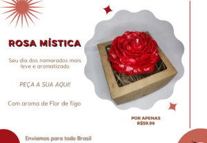 Eu vou  FAZER Edição Canva: Criar posts legais para suas pla...