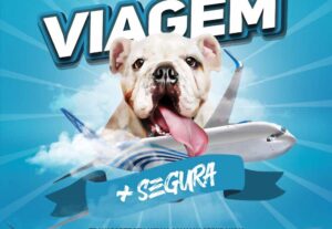 Eu vou Ser sua design gráfica
