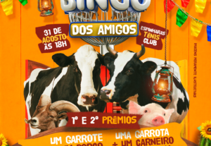 Eu vou criar um flyer espetacular para seu evento