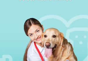 Eu vou fazer um ebook profissional pra você vender