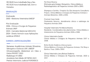Eu vou Fazer seu Currículo Profissional