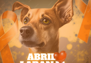 Eu vou produzir artes para seu Instagram