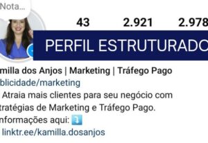 Eu vou  Estruturar seu perfil do Instagram