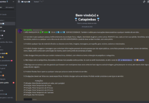 Eu vou criar um servidor no discord para você