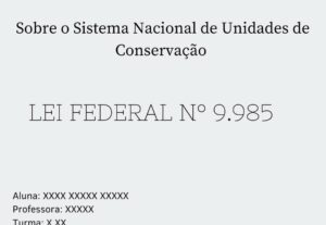 Eu vou fazer designe no canva
