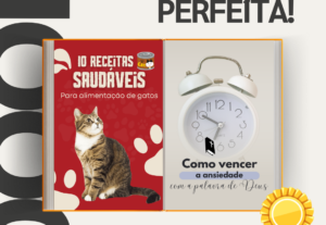 Eu vou fazer a diagramação perfeita do seu E-book