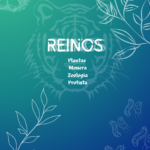 Eu vou fazer logos, banners para sua marca