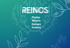 Eu vou FAZER  um e-book para você, com o assunto que precisa...
