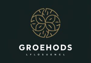 Eu vou Fazer uma logo para você, design profissional