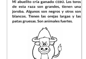 Eu vou traduzir seus textos espanhol/Português e vice/versa