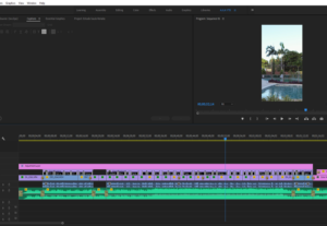 Eu vou editar seus vídeos profissionais.
