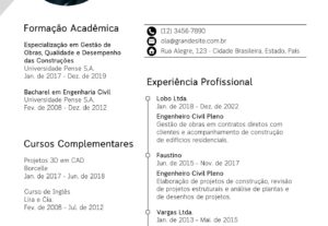 Eu vou realizar a digitação de currículo profissional