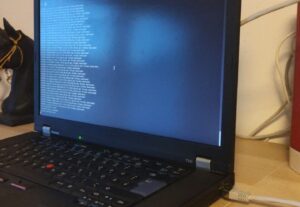 Eu vou fazer seu projeto em python