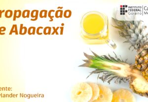 Eu vou fazer os melhores slides para você
