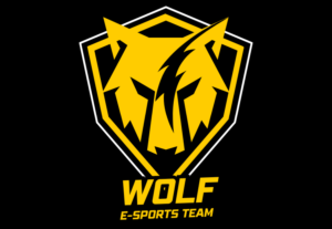 Eu vou fazer uma logo gamer para você e seu time.