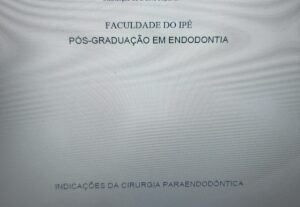 Eu vou redigir e corrigir seus textos, artigos.