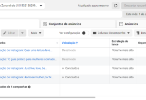 Eu vou fazer anúncios para sua empresa no facebook ads