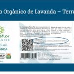 Eu vou criar a sua apresentação de Powerpoint, Canva ou pdf