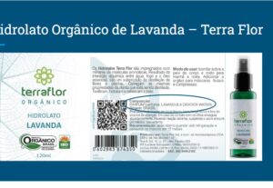 Eu vou criar a sua apresentação de Powerpoint, Canva ou pdf