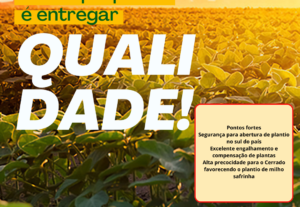 Eu vou fazer para você Banners p/ Redes sociais | YouTube,