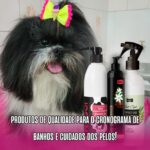Eu vou fazer criativos incríveis para suas redes sociais
