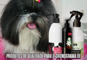 Eu vou fazer criativos incríveis para suas redes sociais