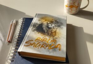 Eu vou revisar e editar seus textos