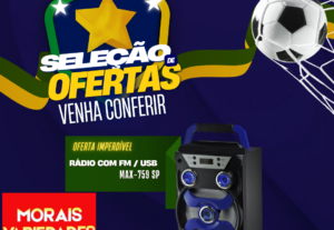 Eu vou fazer anúncios para seus projetos